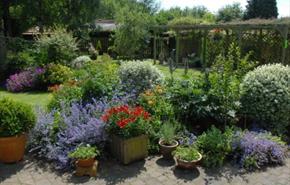 Usk Open Gardens